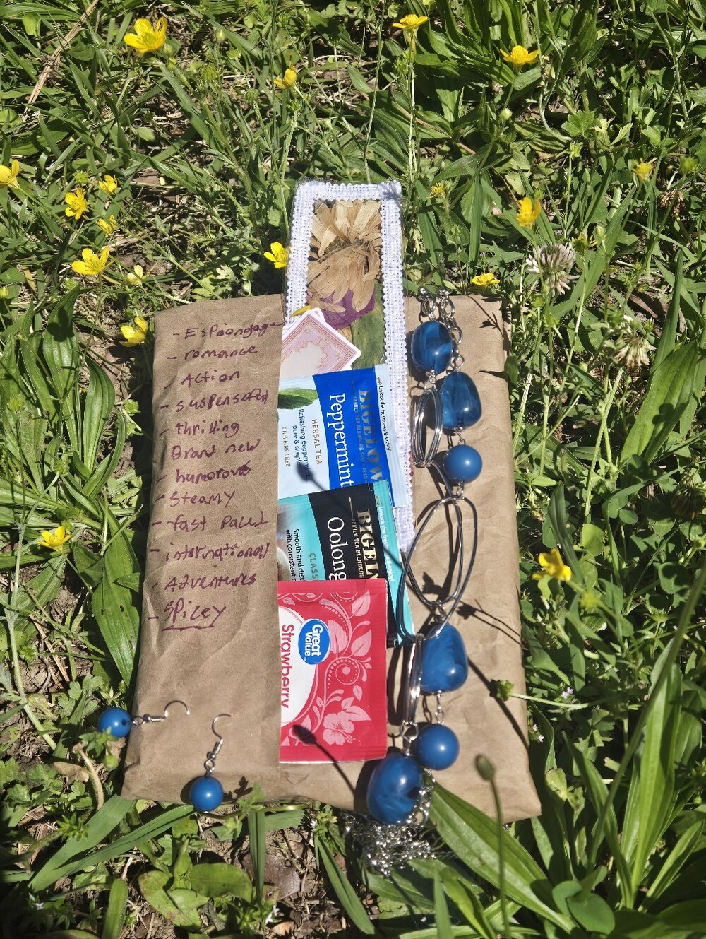 Blind Date With A Book Brand New!